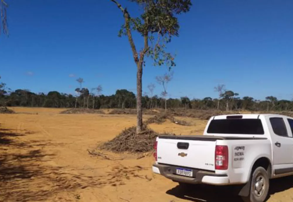 Inema intensifica fiscalização contra desmatamento na Chapada Diamantina