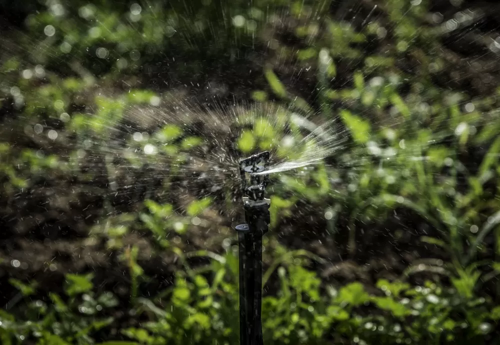 CAR garante acesso à água para agricultores familiares de Caetanos, no Sudoeste Baiano