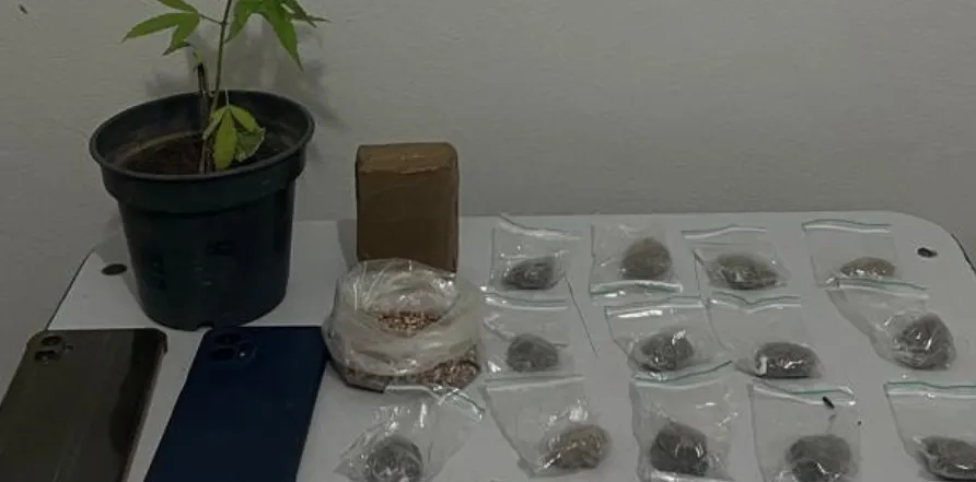 Homem é detido com maconha e celulares durante patrulhamento em Rio do Pires