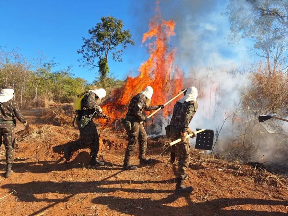 CBM conclui a capacitação de brigadistas florestais voluntários