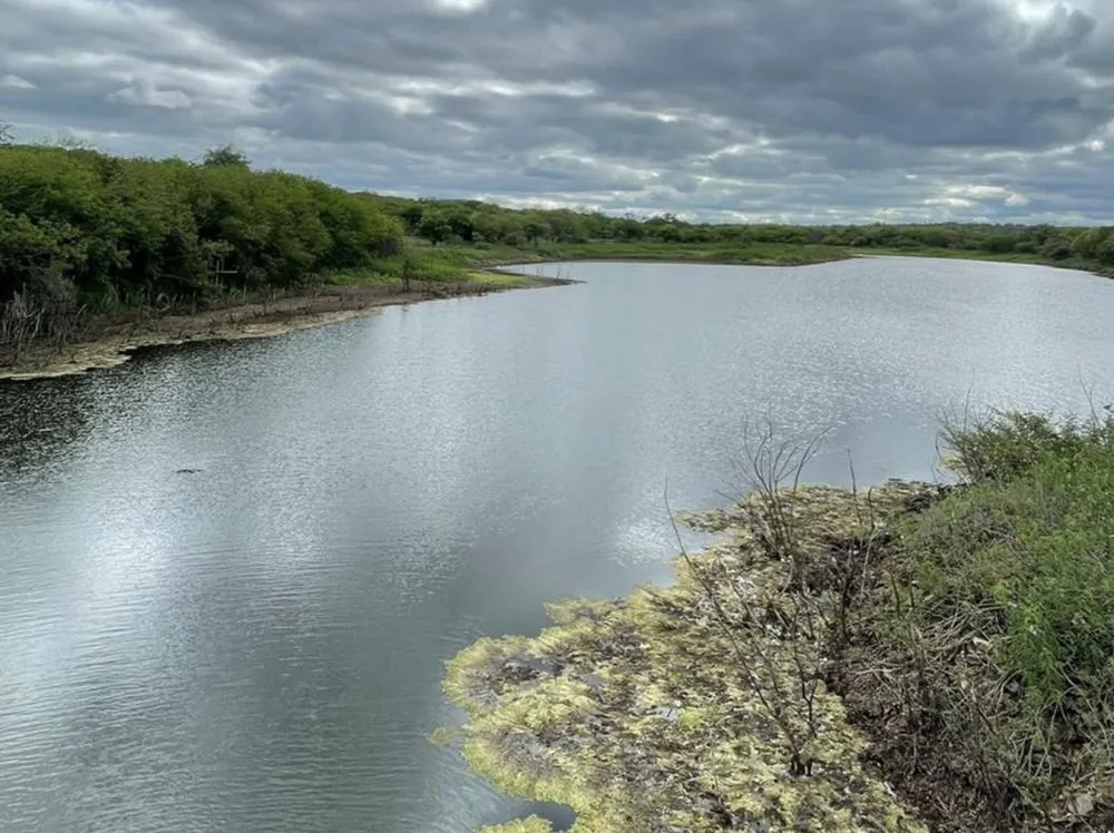 RHI Magnesita realiza simulado de emergência de barragem de água em Brumado