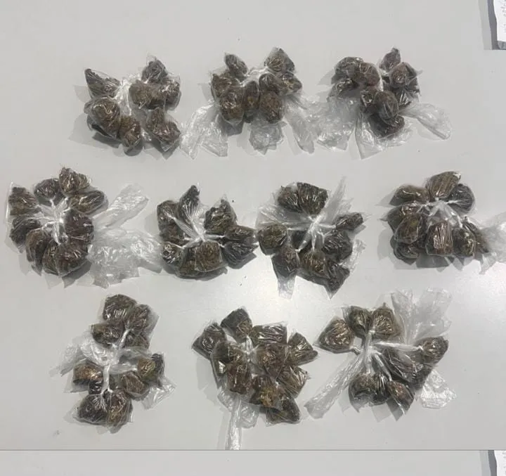 PM apreende maconha em Paramirim