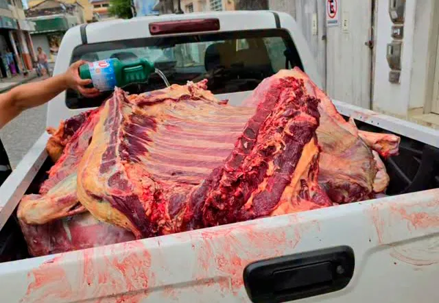 Operação Alimento Seguro apreende cerca de 800 quilos de carne clandestina em Ibicaraí