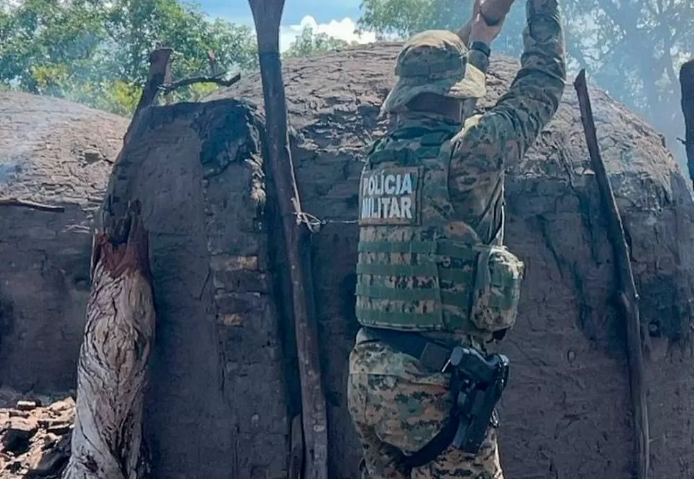 Polícia Ambiental desmantela carvoarias ilegais em Carinhanha