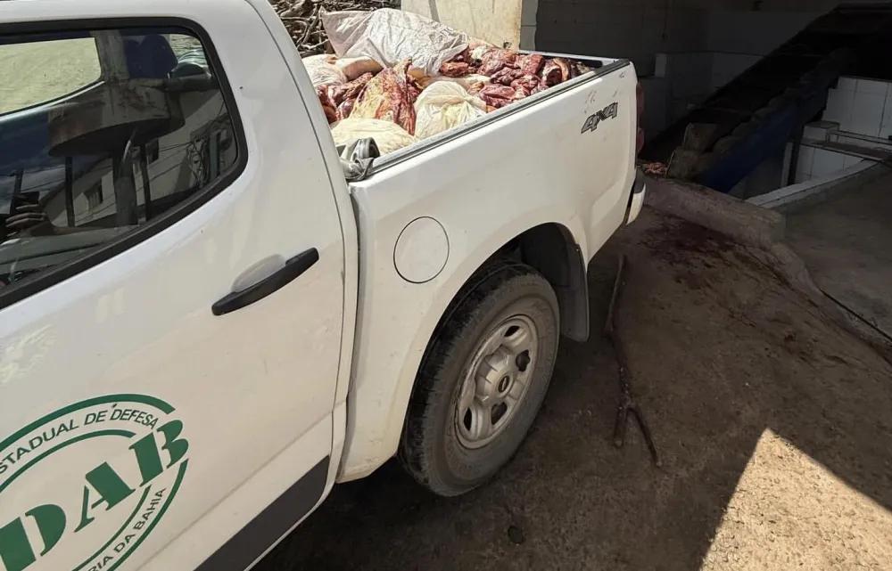 Adab apreende mais de uma tonelada de carne irregular em Candiba e Palmas de Monte Alto