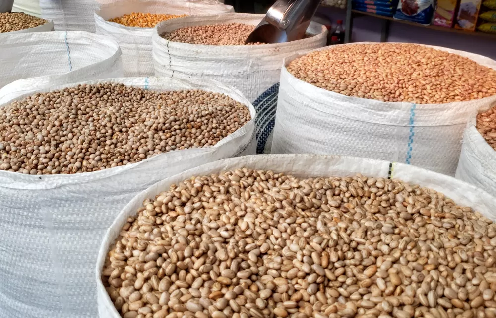 Estado da Bahia comemora marco histórico na safra de grãos