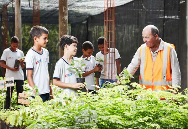Dia da Árvore: RHI Magnesita mantém importantes ações de preservação e ampliação de áreas arborizadas
