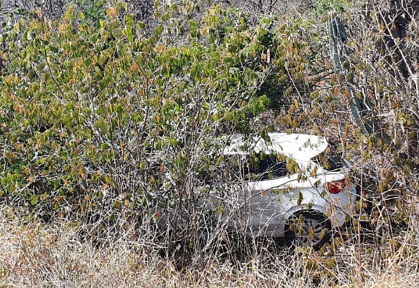Sudoeste: Mulher colide veículo contra arbusto, sai do veículo e é atacada por enxame de abelhas na BA-152