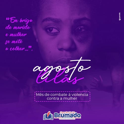 Câmara de Vereadores de Brumado apoia a campanha ‘Agosto Lilás’