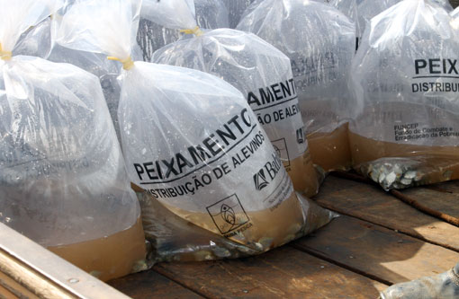 Pescadores de Barra da Estiva recebem alevinos e curso de capacitação