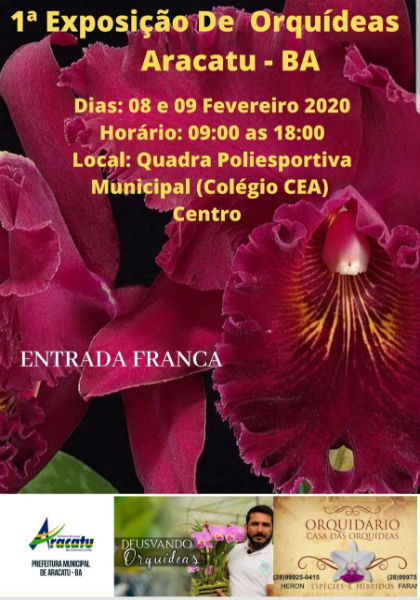 Aracatu: acontece nos dias 08 e 09 de fevereiro a 1ª Exposição de Orquídeas