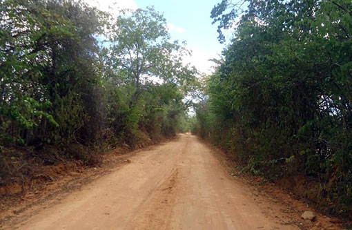 Estradas da região de Araponga, Patos e Barra do Mirante são patroladas após indicação do vereador José Carlos dos Reis