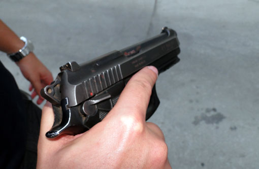 Aprovada autorização para posse de arma de fogo em zona rural