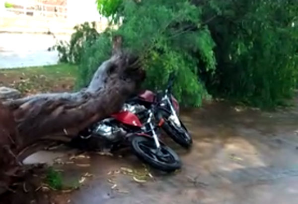 Forte chuva causa queda de árvores e danifica motocicletas em Brumado 