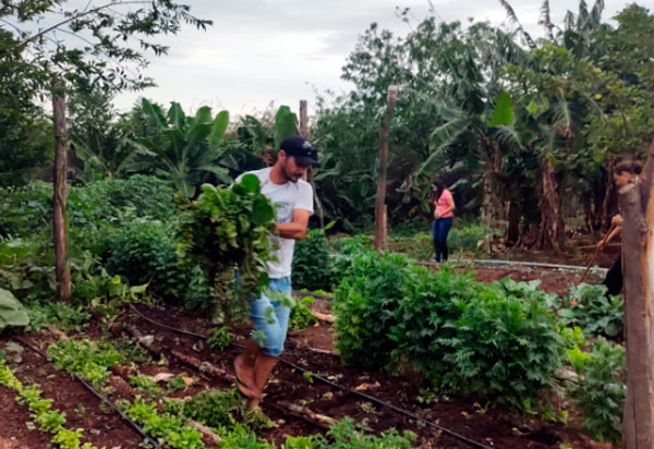 Tecnologia muda a realidade de produtores rurais de Brumado