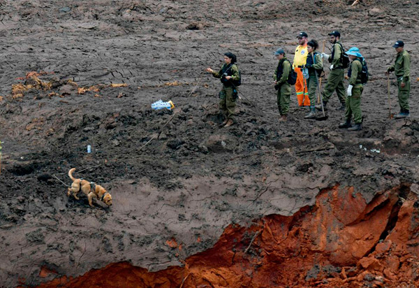 Sobe para 99 o número de mortos e há 259 desaparecidos em Brumadinho
