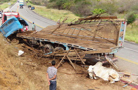 SUDOESTE: CAMINHÃO CARREGADO DE BOIS TOMBA NA BA-262