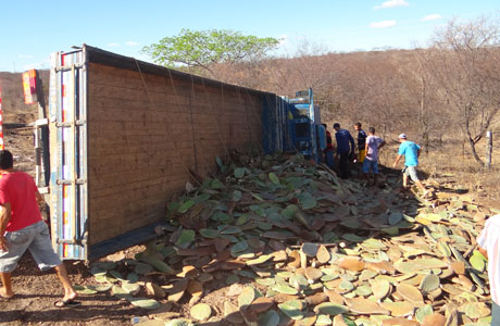 HOMEM MORRE APÓS CAMINHÃO CARREGADO DE PALMA TOMBAR NA BA - 148