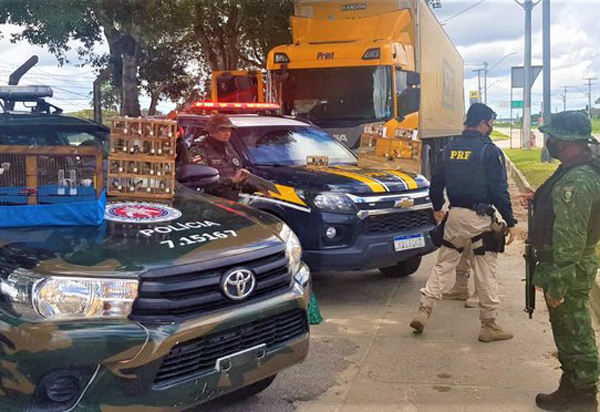 PRF e CIPPA BA flagram crime ambiental e resgatam pássaros silvestres escondidos dentro de cabine de caminhão dos Correios