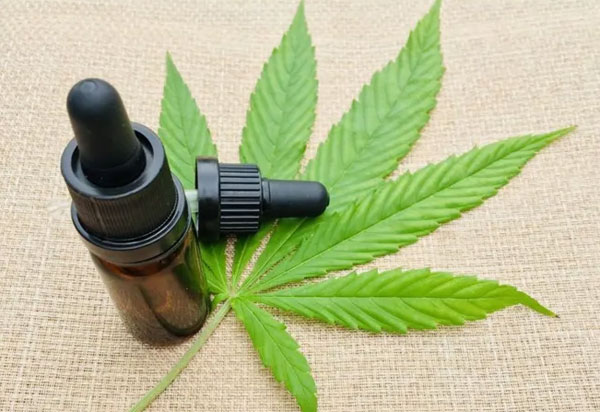 Anvisa autoriza mais três produtos derivados de Cannabis