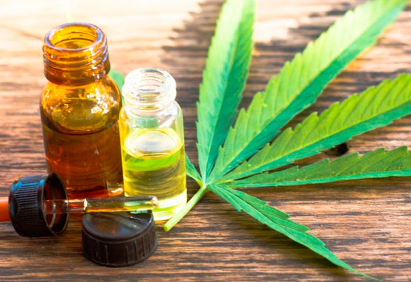 Câmara dos Deputados: Comissão aprova proposta para legalizar o cultivo de Cannabis para fins medicinais