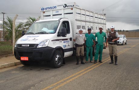 SUDOESTE: PRE FAZ CAPTURA DE ANIMAIS NAS RODOVIAS