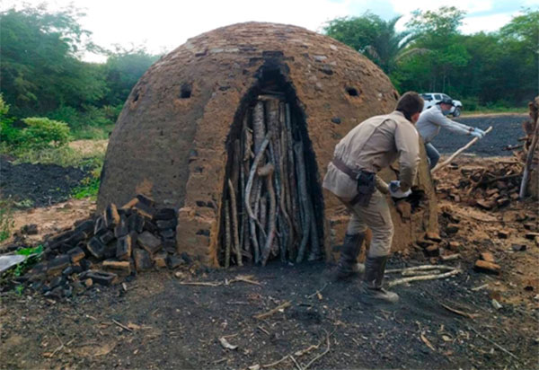 Operação do Inema identifica e combate atividade ilegal na região Sudoeste