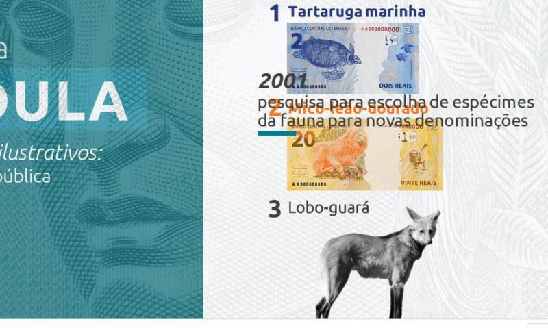 Nova cédula de R$ 200, com lobo-guará, entra em circulação na quarta-feira