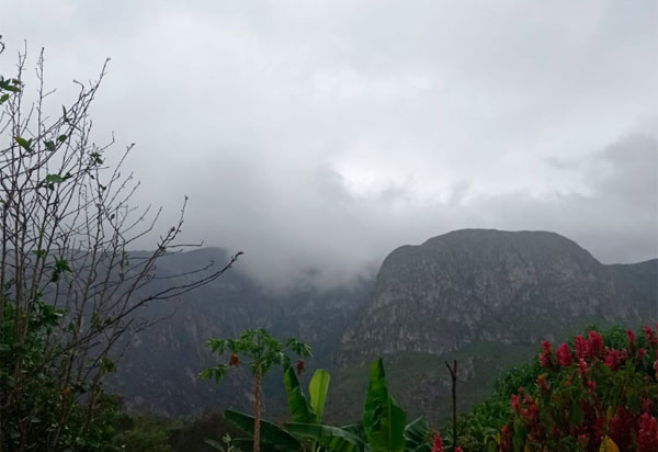 Incêndios florestais: chuvas no interior diminuem focos de calor