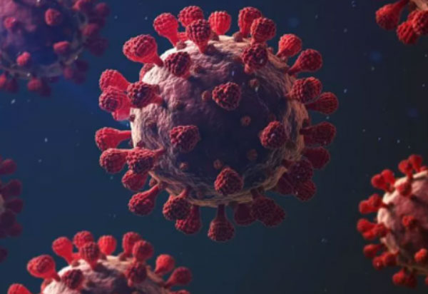 Diretora da OMS diz que mortes por covid são mais do que o anunciado