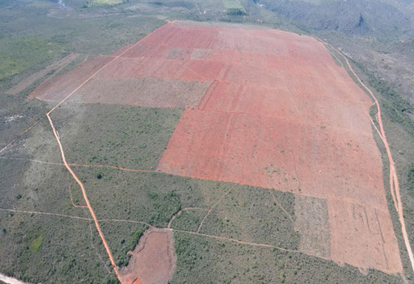 MP ajuíza ação contra desmatamento ilegal em fazenda do agronegócio em Piatã