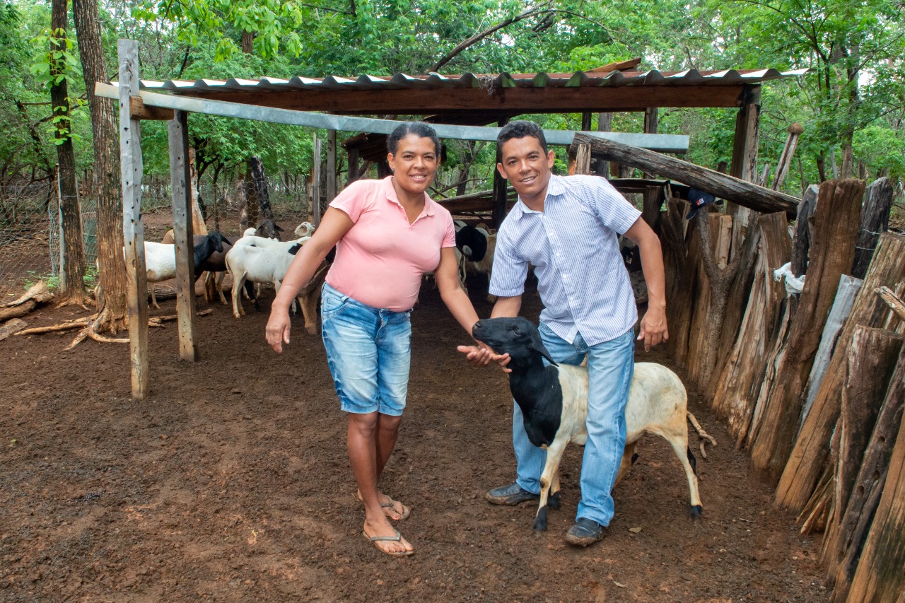 Bahia Produtiva tem mais US$ 150 milhões para a agricultura familiar