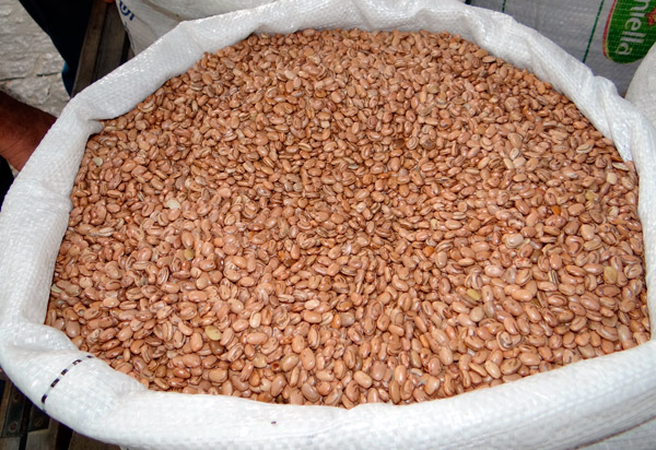 Em fevereiro, IBGE prevê alta de 6,1% na safra de grãos de 2020 na Bahia