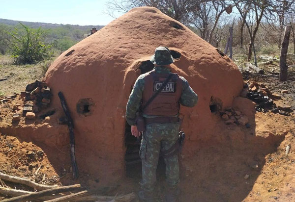 Operação do Inema com a Polícia Militar desmonta carvoaria ilegal em Presidente Jânio Quadros