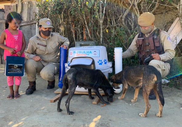 Animais de rua ganham comedores e abrigo em Vitória da Conquista