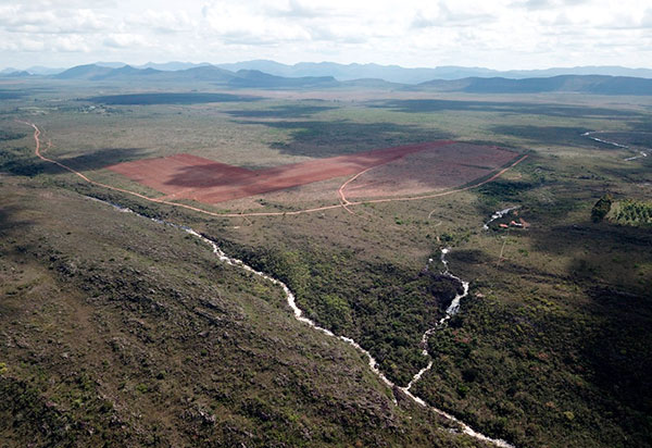 Piatã: MP recomenda cancelar autorização de supressão de vegetação nativa em fazenda do agronegócio