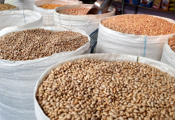 Bahia: Produção estadual de grãos fecha o ciclo com estimativa de 10,4 milhões de toneladas