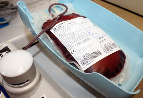 Brumado: Hemoba convoca doadores; banco de sangue está em estado crítico 