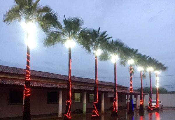 Com doações, APAE Brumado instala linda iluminação de Natal