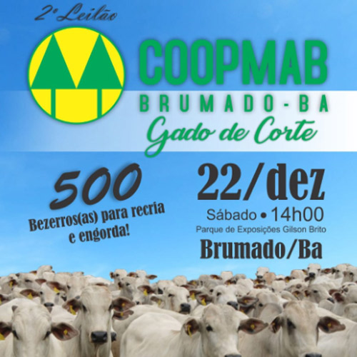 Brumado: Coopmab promoverá 2º Leilão de Gado de Corte