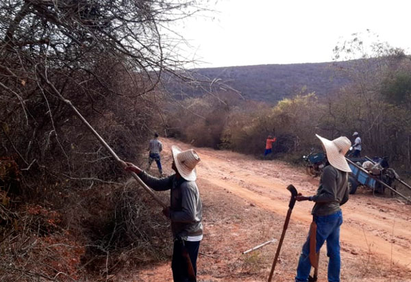 Brumado: Moradores da zona rural realizam por conta própria serviços para melhorias das comunidades