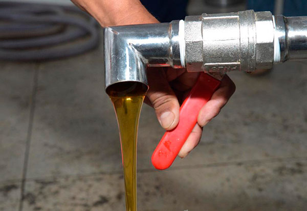 Apicultores de Brotas de Macaúbas inauguram casa de mel com venda da primeira safra