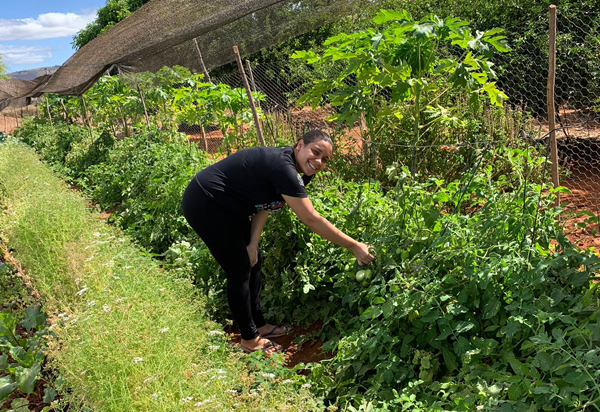 Mulheres de comunidade rural de Pindaí melhoram renda com a produção de hortaliças e frutíferas 