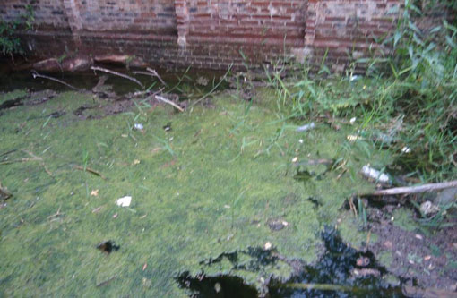 Modera faz vistoria em nascente do Bairro Olhos D'água em Brumado