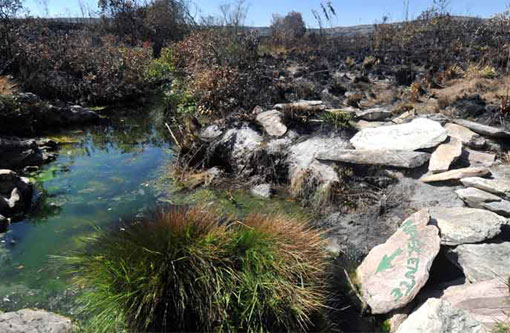 Água volta a jorrar na principal nascente do Rio São Francisco