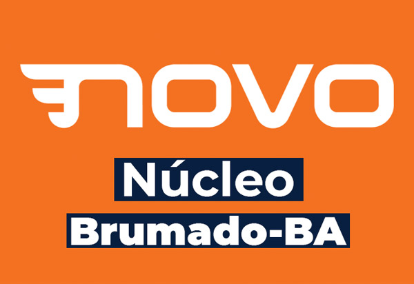 Projeto 'Eleições 2020' para o Partido Novo em Brumado será adiado