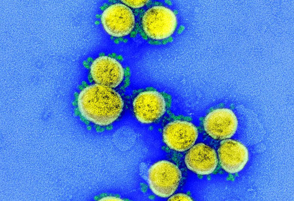 Brasil tem 32 casos confirmados da variante Ômicron