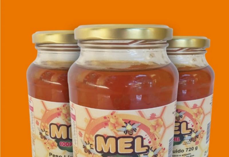 Licínio de Almeida: Cooperativa tem expectativa de aumentar produção de mel em 100% 
