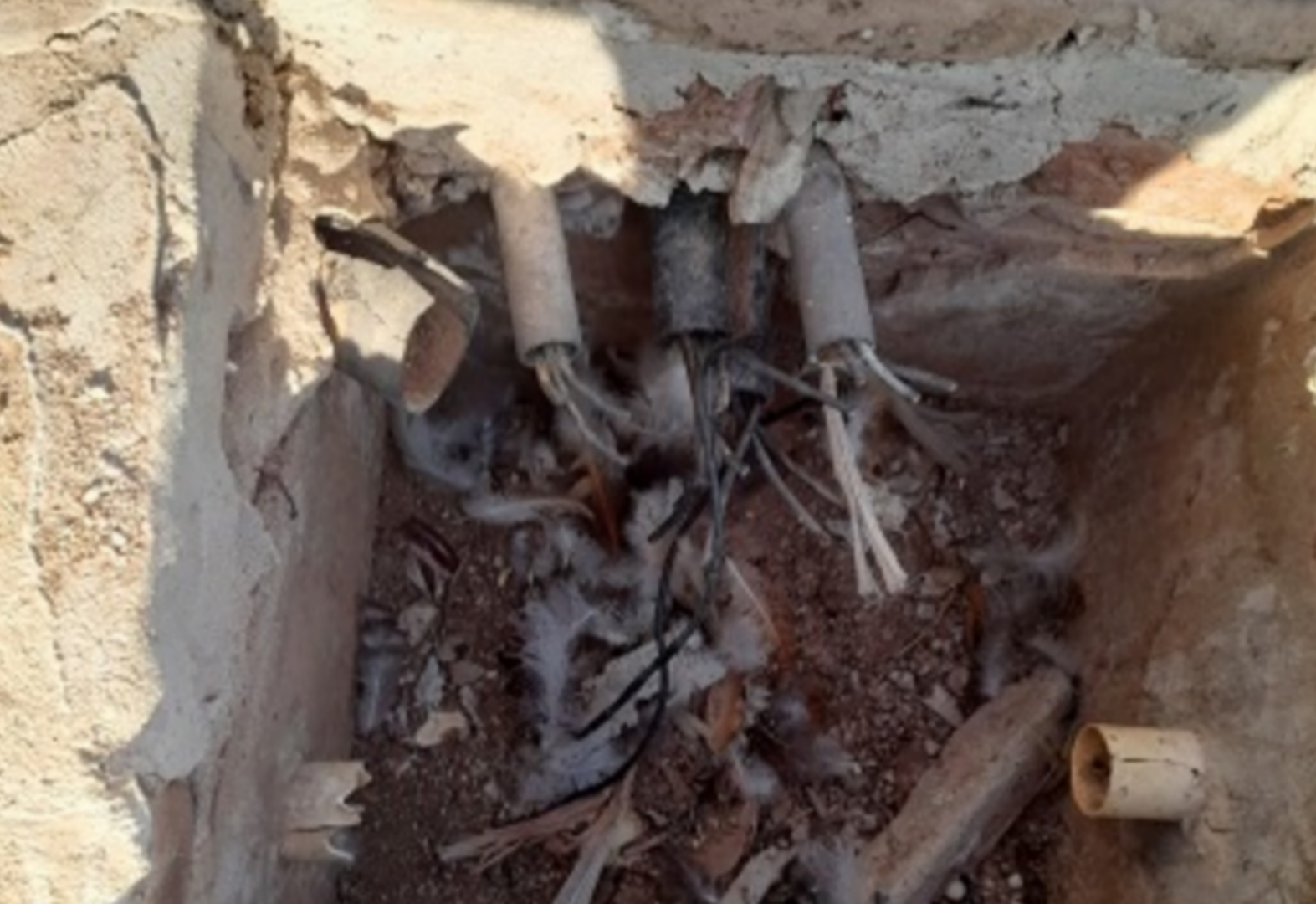 Criminosos furtam fios de energia do Cemitério Jardim Santa Inês