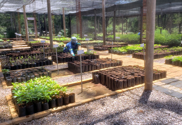 RHI Magnesita recebe jornalistas de Brumado em ação socioambiental
